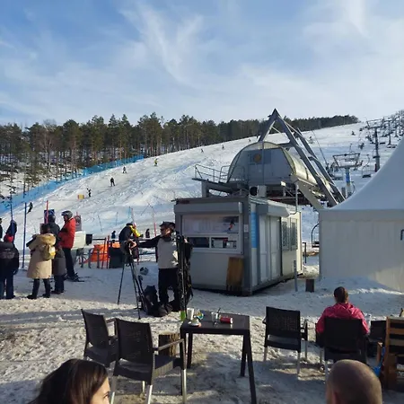 Divcinova B10 Tomic *