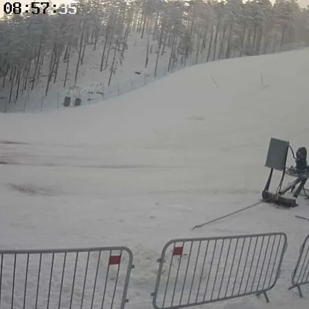 Divcinova B10 Tomic *