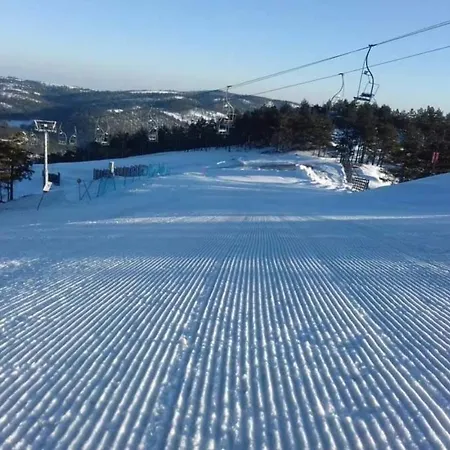 Divcinova B10 Tomic *