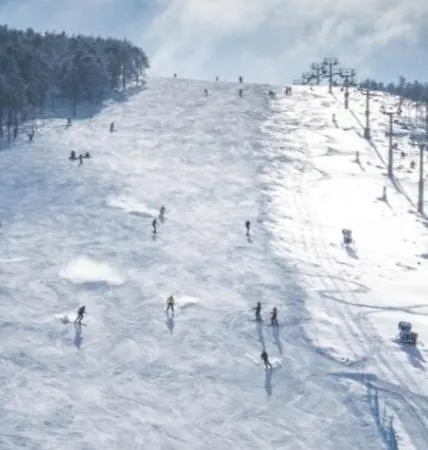 Divcinova B10 Tomic Apartment