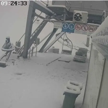 Divcinova B10 Tomic *