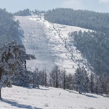 Divcinova B10 Tomic Apartment Divčibare