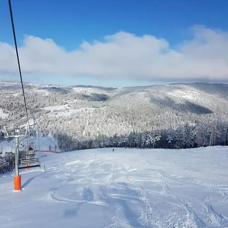 Divcinova B10 Tomic Apartment Divčibare