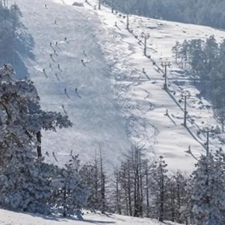 Divcinova B10 Tomic * Divčibare