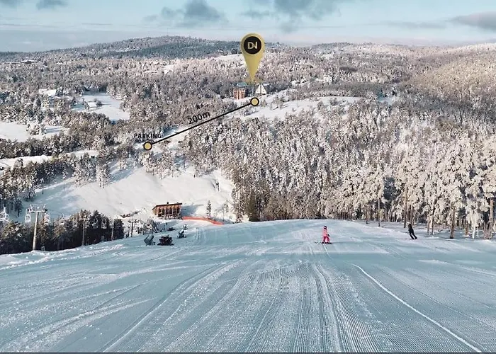 Apartman Divcinova B10 Tomic