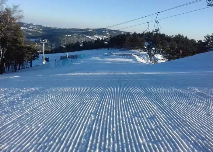 Divcinova B10 Tomic *