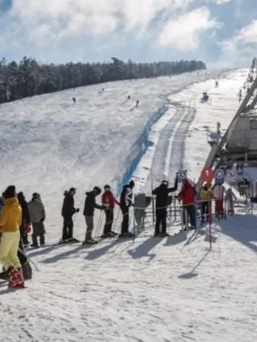 Divcinova B10 Tomic * Divčibare