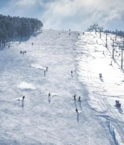 Divcinova B10 Tomic Apartman