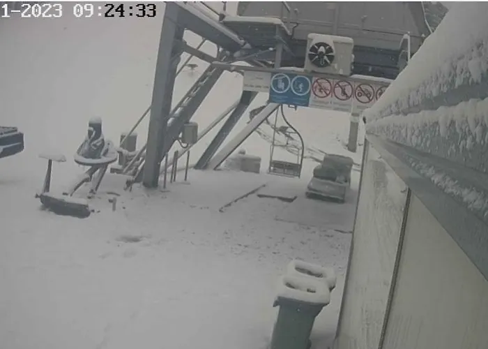 Divcinova B10 Tomic *