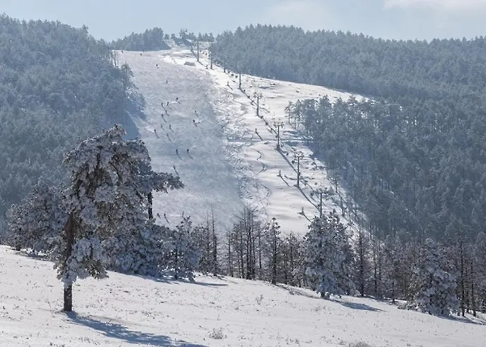 Divcinova B10 Tomic Apartman Divčibare