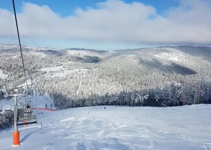 Divcinova B10 Tomic Apartman Divčibare