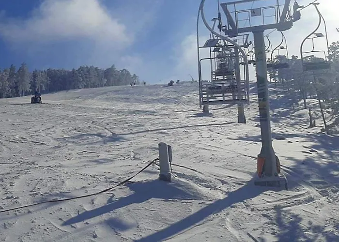 Divcinova B10 Tomic *