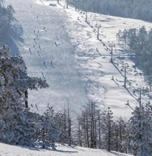 Divcinova B10 Tomic * Divčibare