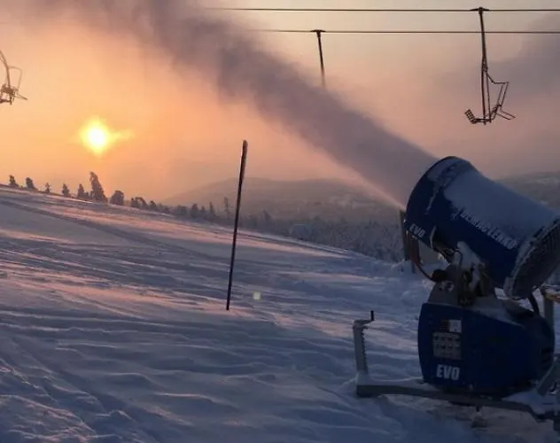 Apartman Divcinova B10 Tomic Divčibare